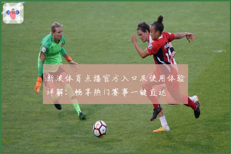 新浪体育点播官方入口及使用体验详解：畅享热门赛事一键直达