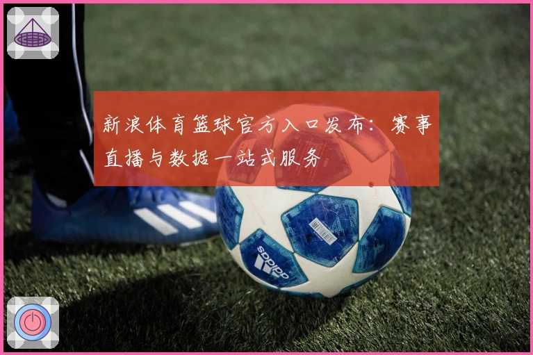 新浪体育篮球官方入口发布：赛事直播与数据一站式服务