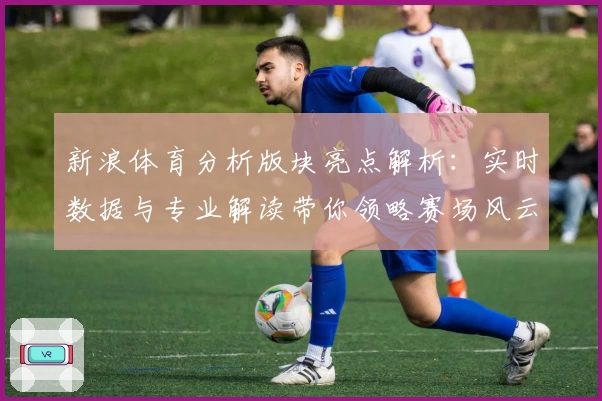 新浪体育分析版块亮点解析：实时数据与专业解读带你领略赛场风云