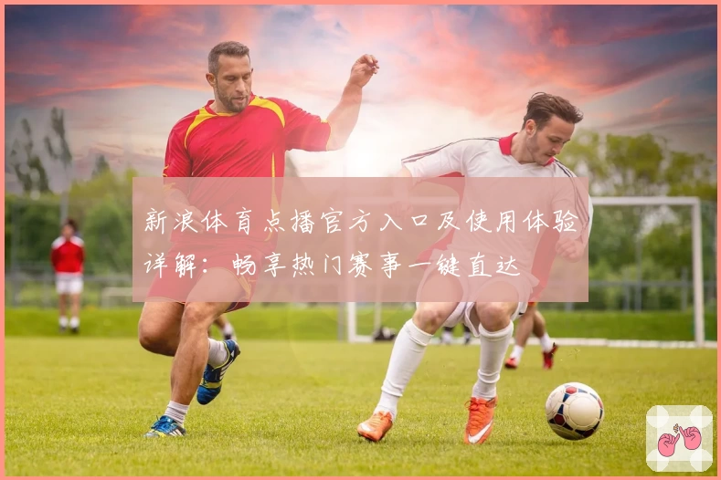 新浪体育点播官方入口及使用体验详解：畅享热门赛事一键直达