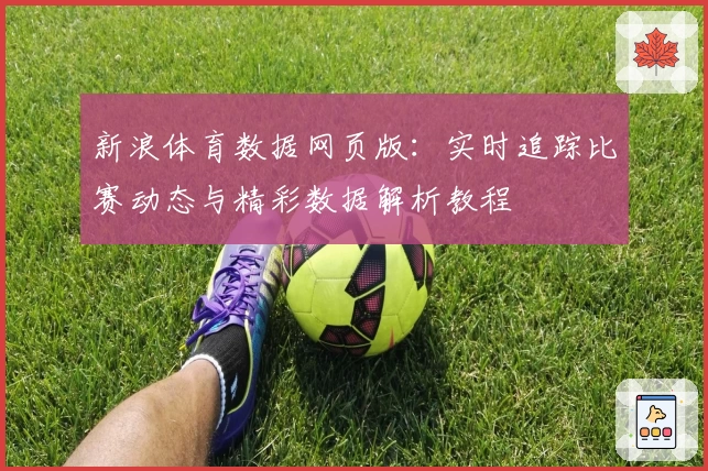 新浪体育数据网页版:实时追踪比赛动态与精彩数据解析教程