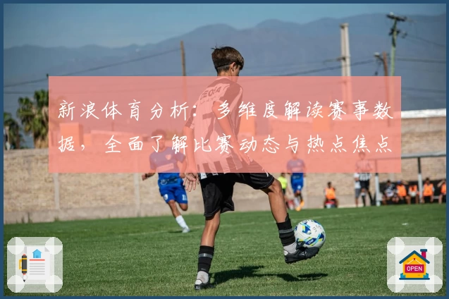新浪体育分析：多维度解读赛事数据，全面了解比赛动态与热点焦点