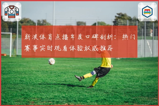 新浪体育点播年度口碑剖析：热门赛事实时观看体验权威推荐