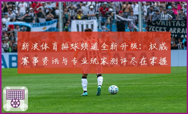 新浪体育排球频道全新升级:权威赛事资讯与专业玩家测评尽在掌握