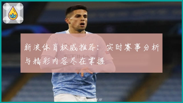 新浪体育权威推荐：实时赛事分析与精彩内容尽在掌握