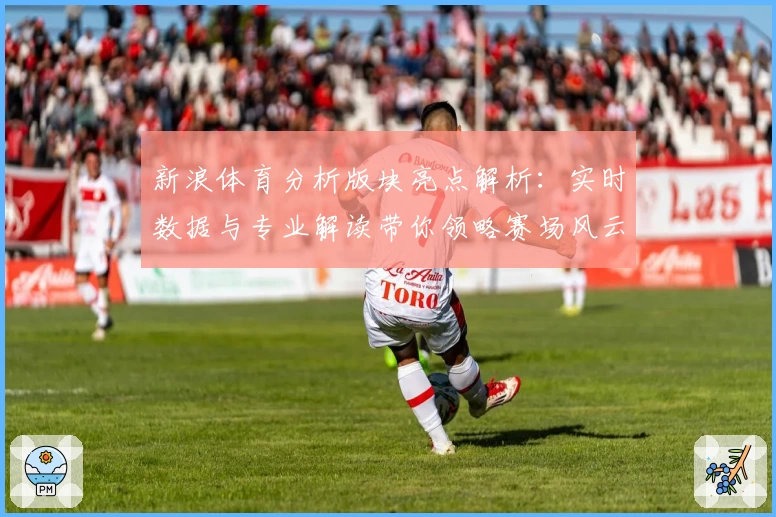 新浪体育分析版块亮点解析：实时数据与专业解读带你领略赛场风云