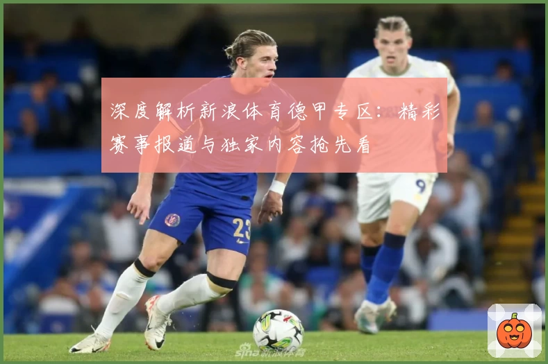 深度解析新浪体育德甲专区：精彩赛事报道与独家内容抢先看