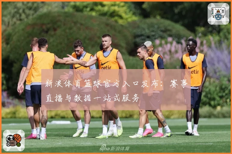 新浪体育篮球官方入口发布：赛事直播与数据一站式服务