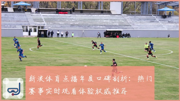 新浪体育点播年度口碑剖析：热门赛事实时观看体验权威推荐