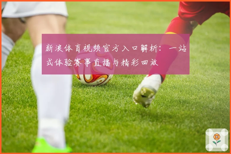 新浪体育视频官方入口解析：一站式体验赛事直播与精彩回放