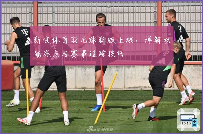 新浪体育羽毛球新版上线，详解功能亮点与赛事追踪技巧